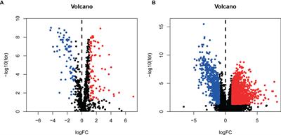 A Prognostic Model of Bladder Cancer Based on Metabolism-Related Long Non-Coding RNAs